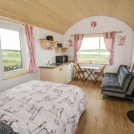 The Beautiful Lazy Llama Shepherd Hut Farm Stay Ballyshannon Dış mekan fotoğraf