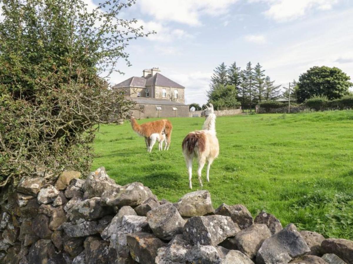 The Beautiful Lazy Llama Shepherd Hut Farm Stay Ballyshannon Dış mekan fotoğraf