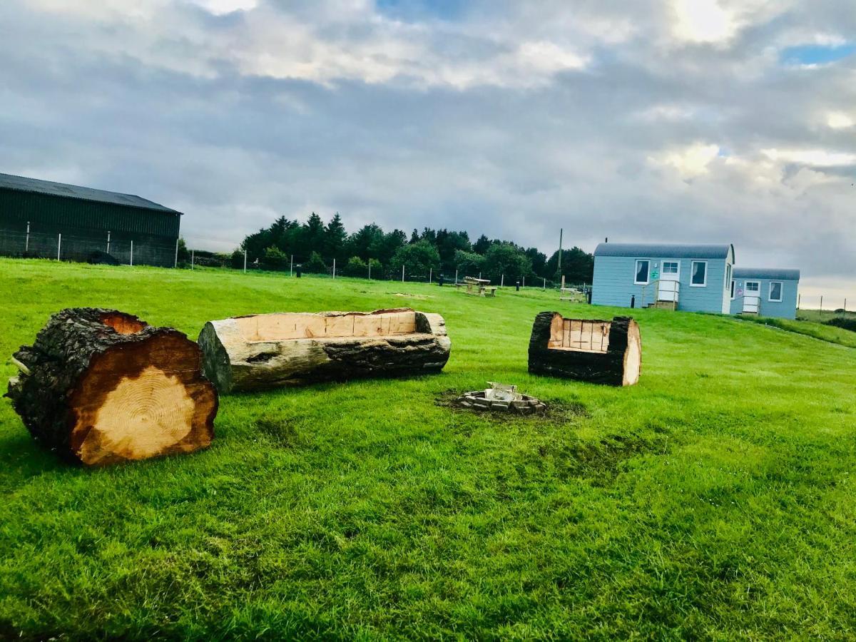 The Beautiful Lazy Llama Shepherd Hut Farm Stay Ballyshannon Dış mekan fotoğraf