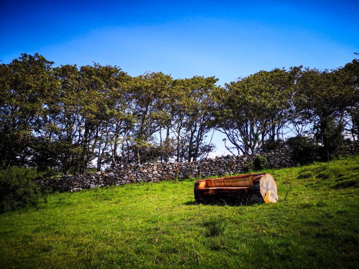 The Beautiful Lazy Llama Shepherd Hut Farm Stay Ballyshannon Dış mekan fotoğraf